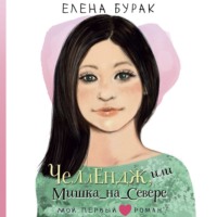 . Челлендж, или Мишка_на_Севере