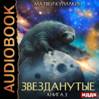 Матвей Курилкин. Звезданутые. Книга 3. Звезданутые во мгле