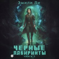 . Черные лабиринты. Книга 2