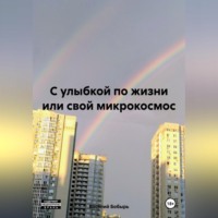 Василий Бобырь. С улыбкой по жизни или свой микрокосмос