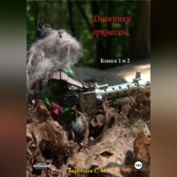 . Дневники оркнессы. Книга 1 и 2. Наконец-то Война!