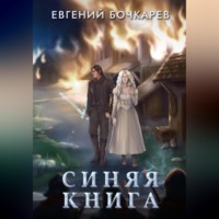 Евгений Бочкарев. Синяя книга