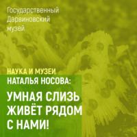 Наталья Носова. Умная слизь живет рядом с нами!