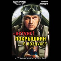 . «Ахтунг! Покрышкин в воздухе!». «Сталинский сокол» № 1