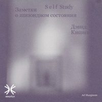 Дэвид Кишик. Self Study: Заметки о шизоидном состоянии