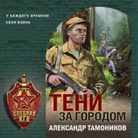 Александр Тамоников. Тени за городом