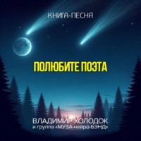 Владимир Холодок. Полюбите поэта