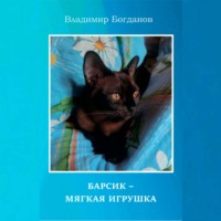 Владимир Богданов. Барсик – мягкая игрушка