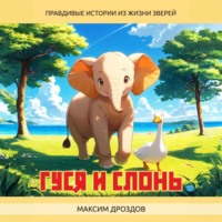 . Гуся и Слонь