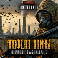 Тим Волков. Период распада. Апофеоз войны