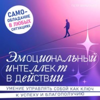 Петр Вольский. Эмоциональный интеллект в действии
