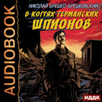 Николай Брешко-Брешковский. В когтях германских шпионов