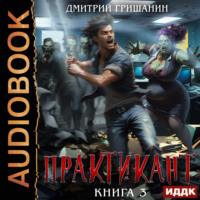 . Практикант. Книга 3