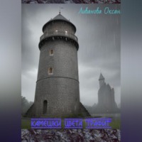 . Камешки цвета «графит»