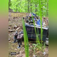 . Дневники оркнессы. Книга 3 и 4. Утомленные счастьем