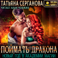 . Поймать дракона. Новый год в Академии
