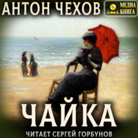 . Чайка