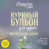 Эми Ньюмарк. Куриный бульон для души. Внутренняя опора. 101 светлая история о том, что делает нас сильнее