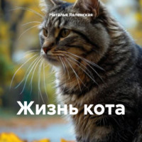 . Жизнь кота