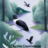 Антон Николаевич Скрипников. Городской голубь