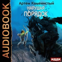 Артем Каменистый. Нарушая ПОРЯДОК