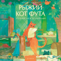 . Рыжий кот Фута из кафе между мирами
