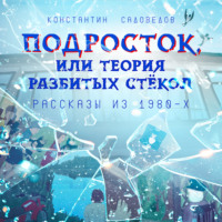 Константин Садоведов. Подросток, или Теория разбитых стёкол