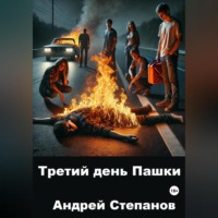 Андрей Валерьевич Степанов. Третий день Пашки
