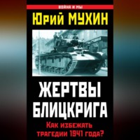 . Жертвы Блицкрига. Как избежать трагедии 1941 года?