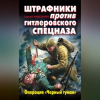 . Штрафники против гитлеровского спецназа. Операция «Черный туман»