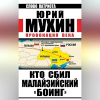 . Кто сбил малайзийский «Боинг». Провокация века
