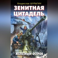 . Зенитная цитадель. «Не тронь меня!»