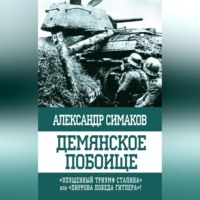. Демянское побоище. «Упущенный триумф Сталина» или «пиррова победа Гитлера»?