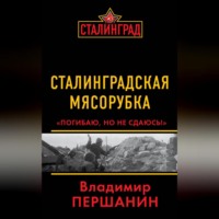 . Сталинградская мясорубка. «Погибаю, но не сдаюсь!»