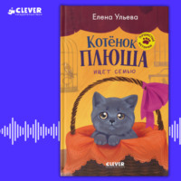 . Котенок Плюша ищет семью