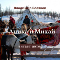 Владимир Васильевич Беляков. Аника и Миxай