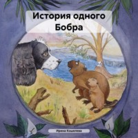 Ирина Кошелева. История одного Бобра