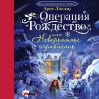 . Операция «Рождество», или Невероятное ограбление