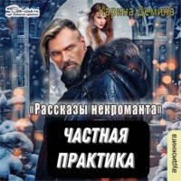 Карина Демина. Частная практика