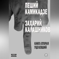 . Пеший камикадзе. Книга вторая. Уцелевший