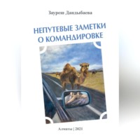 . Непутевые заметки о командировке