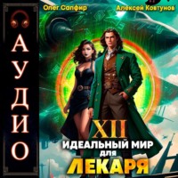 Алексей Ковтунов. Идеальный мир для Лекаря 12