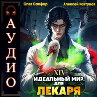 Алексей Ковтунов. Идеальный мир для Лекаря 14