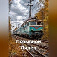 . Позывной «Лидер»