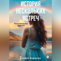 . История нескольких встреч