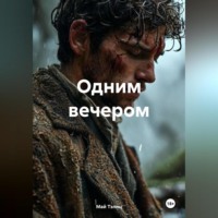 . Одним вечером