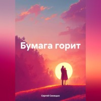 Сергей Александрович Синицын. Бумага горит.