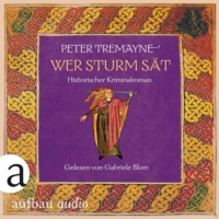 Peter Tremayne. Wer Sturm s?t - Historischer Kriminalroman - Schwester Fidelma ermittelt, Band 35 (Ungek?rzt)