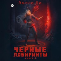 . Черные лабиринты. Книга 4