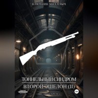 . Тоннельный синдром. Книга 3: Второй эшелон. Том 2